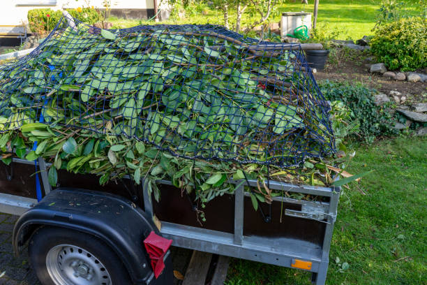 Best Moving and Downsizing Cleanouts  in Coburg, OR